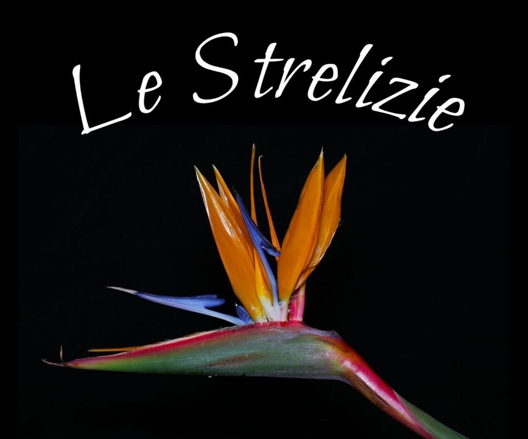 Ferienwohnung Le Strelizie Arnesano Exterior foto